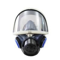 Full Face Absolute STD